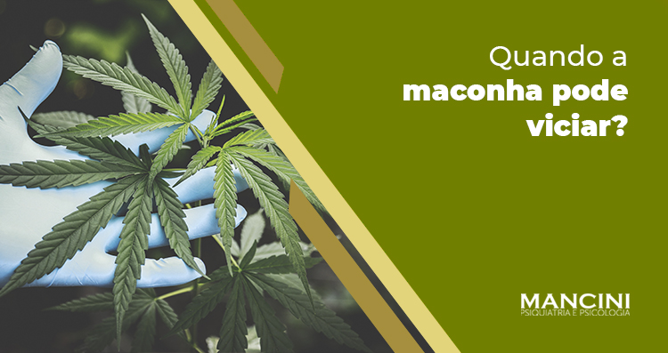 Maconha pode viciar? Uma discussão fisiológica e comportamental