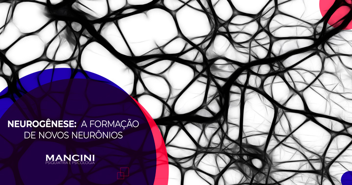 Neurogênese: a formação de novos Neurônios