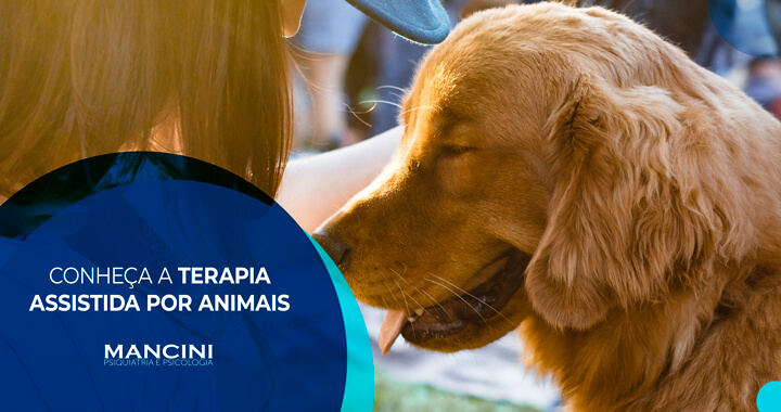 Como a terapia com animais pode ajudar a sua mente