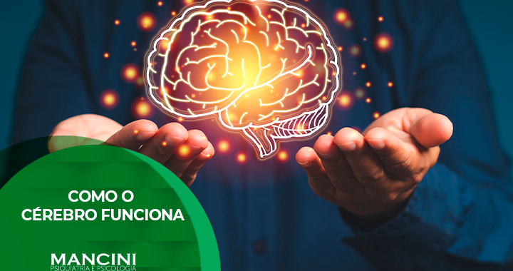 Funções Cognitivas e seus Correlatos Neurobiológicos