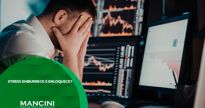 QUAIS OS EFEITOS DO ESTRESSE DESENVOLVIMENTO DO CÉREBRO?